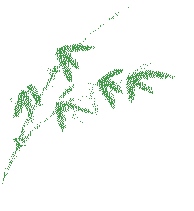 仲夏縈香，歡“粽”時光│將軍陶瓷集團端午節特別活動圓滿舉行(圖7)